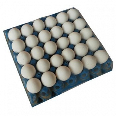 12-Eggs