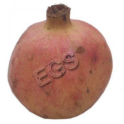 Fresh Pomegrante 5 KG