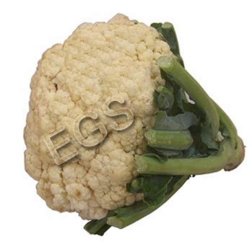 Couliflower 5 KG