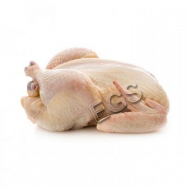 Fresh Chicken Meat 1kg