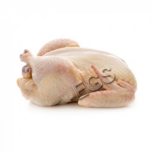 Fresh Chicken Meat 5kg