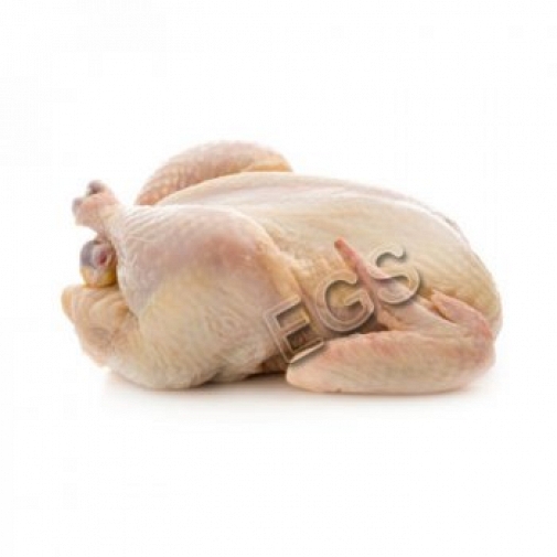 Fresh Chicken Meat 2kg