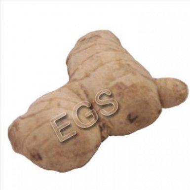 Fresh Ginger 250 Grams